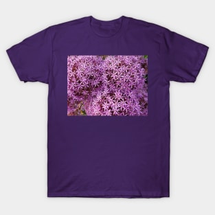 Purple Allium Flowers T-Shirt